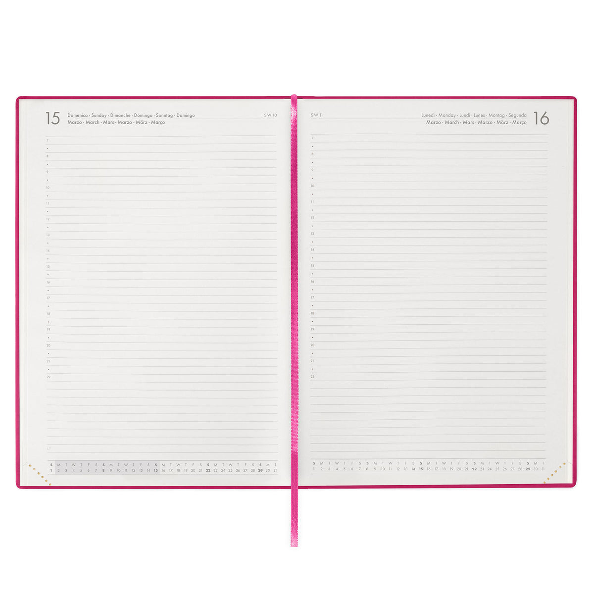 Agenda 13 Mesi Giornaliera Maxi 2027 - Raspberry Jam