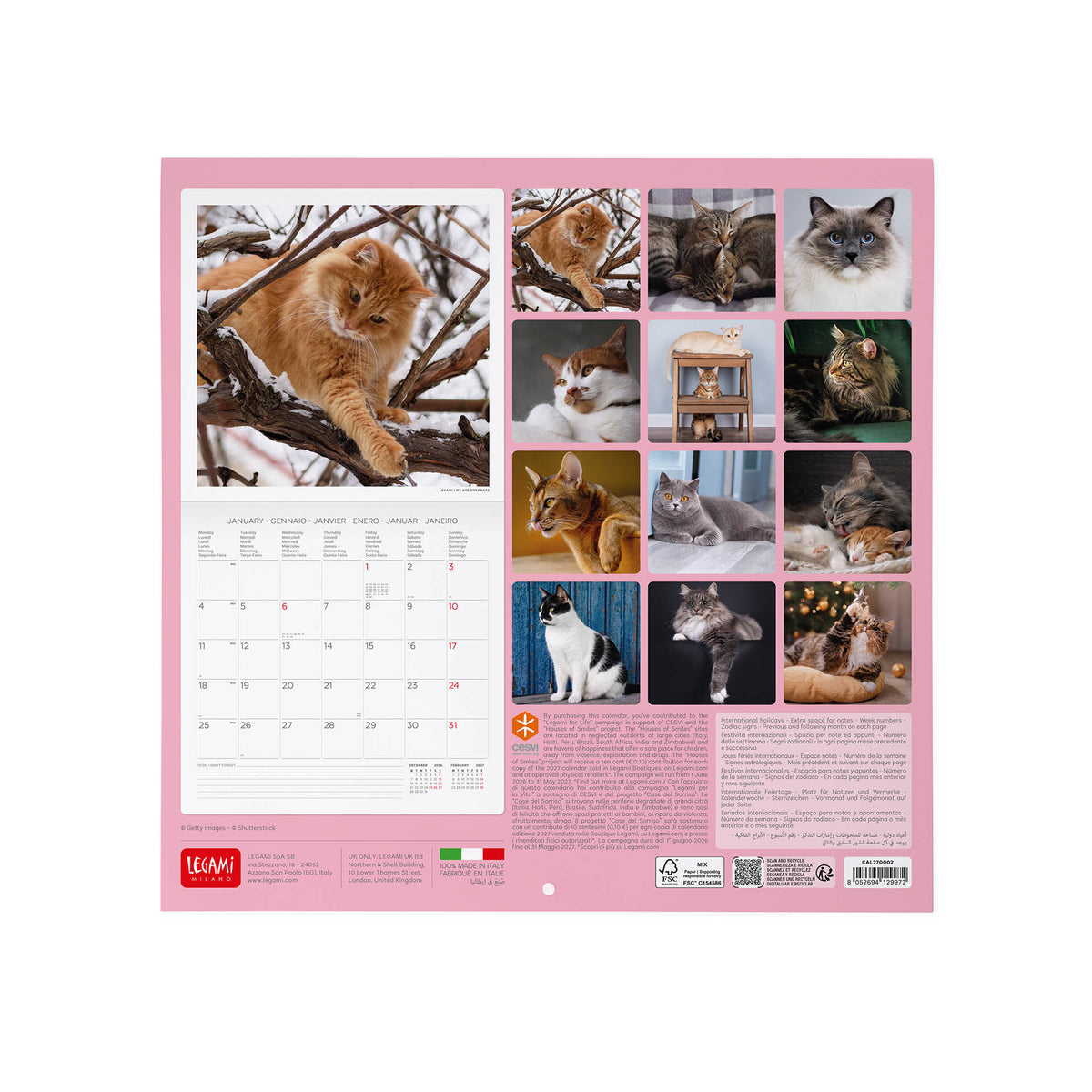 Calendario da Parete 2027 - 30 x 29 cm - Cats
