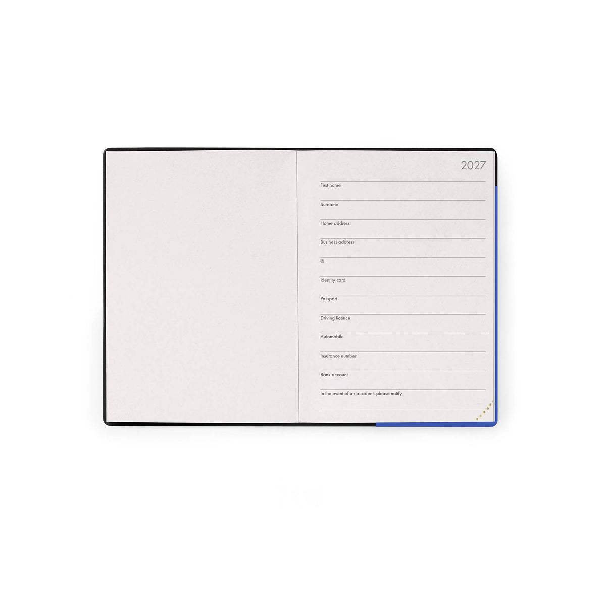 Agenda 12 Mesi Giornaliera Small 2027 - Eclectic Blue