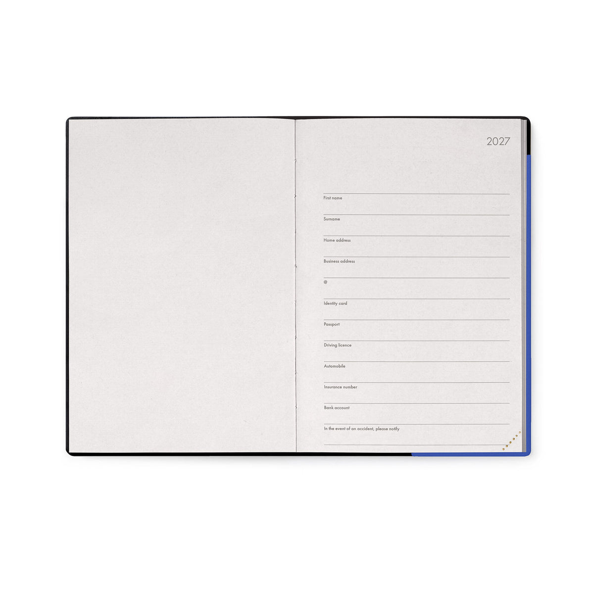 Agenda 12 Mesi Giornaliera Medium 2027 - Eclectic Blue