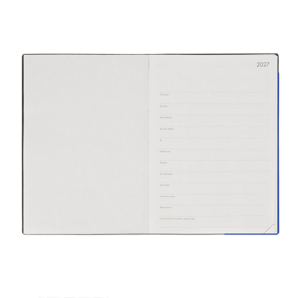 Agenda 12 Mesi Giornaliera Large 2027 - Eclectic Blue