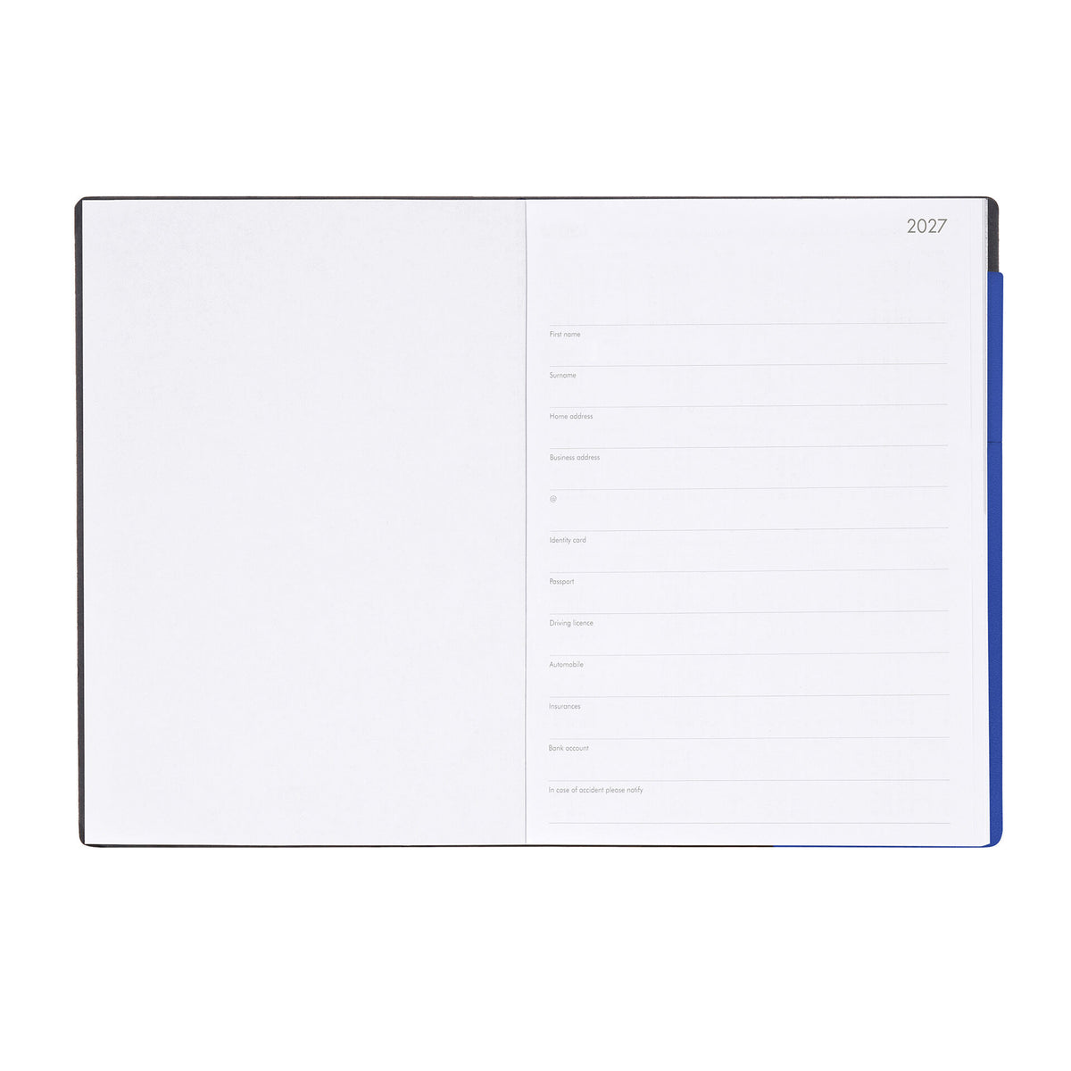 Agenda 12 Mesi Settimanale & Giornaliera Large 2027 - Eclectic Blue