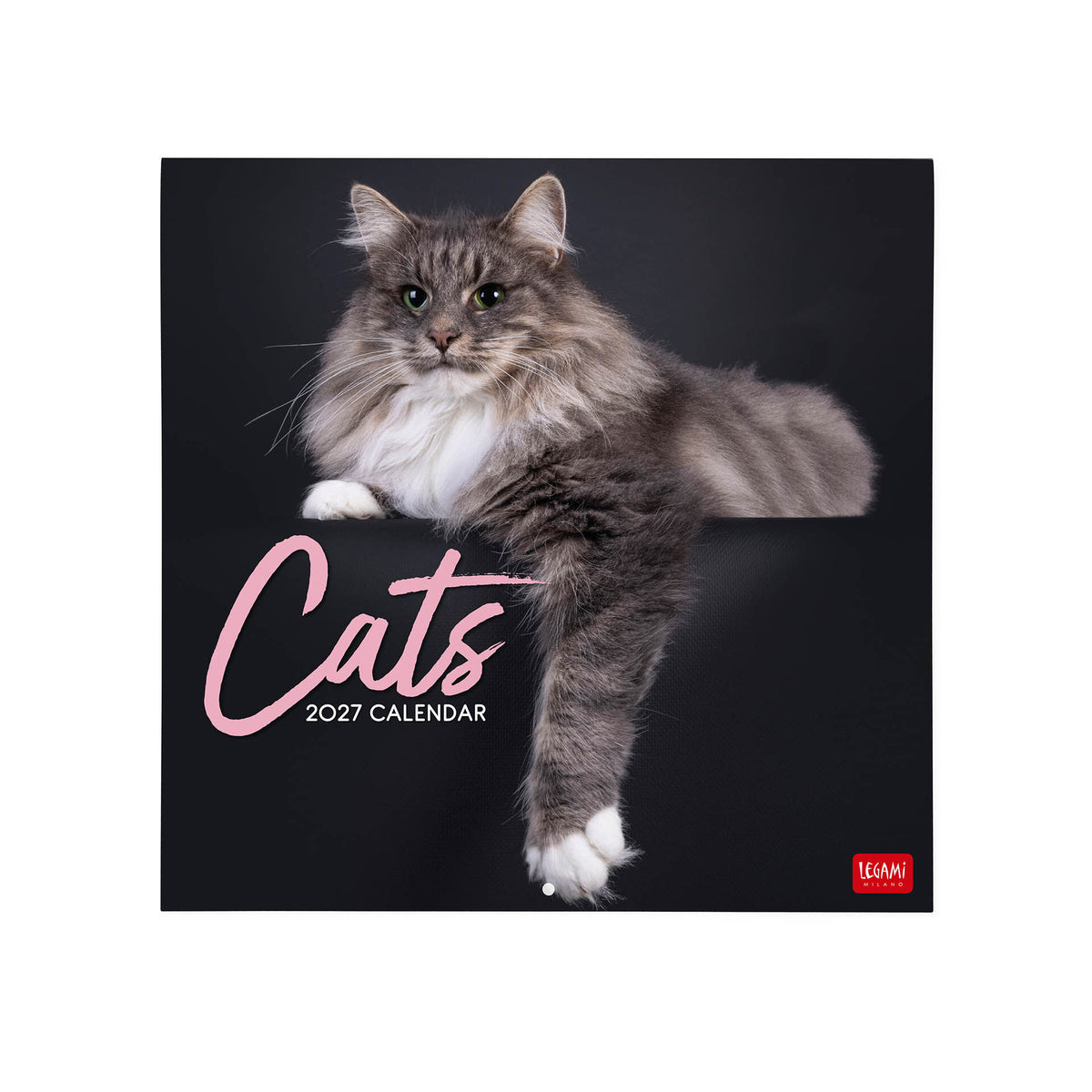 Calendario da parete Legami 2027 30x29 Cats gatti
