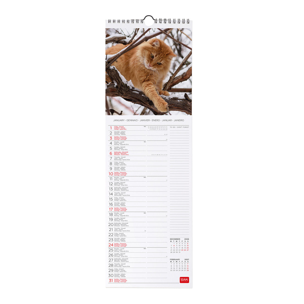 Calendario da Parete 2027 - 16 x 49 cm - Cats