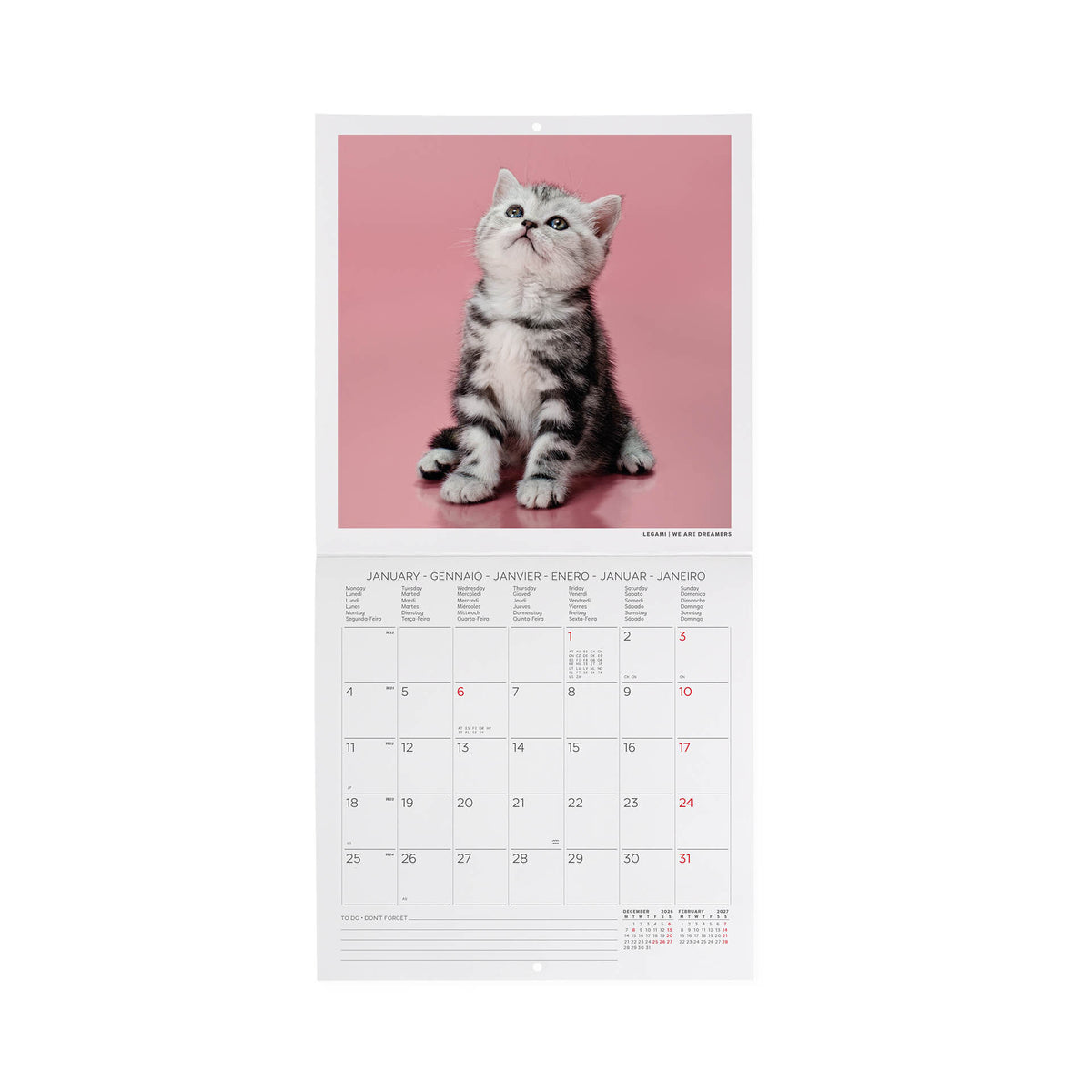Calendario da Parete 2027 - 18 x 18 cm - Kittens
