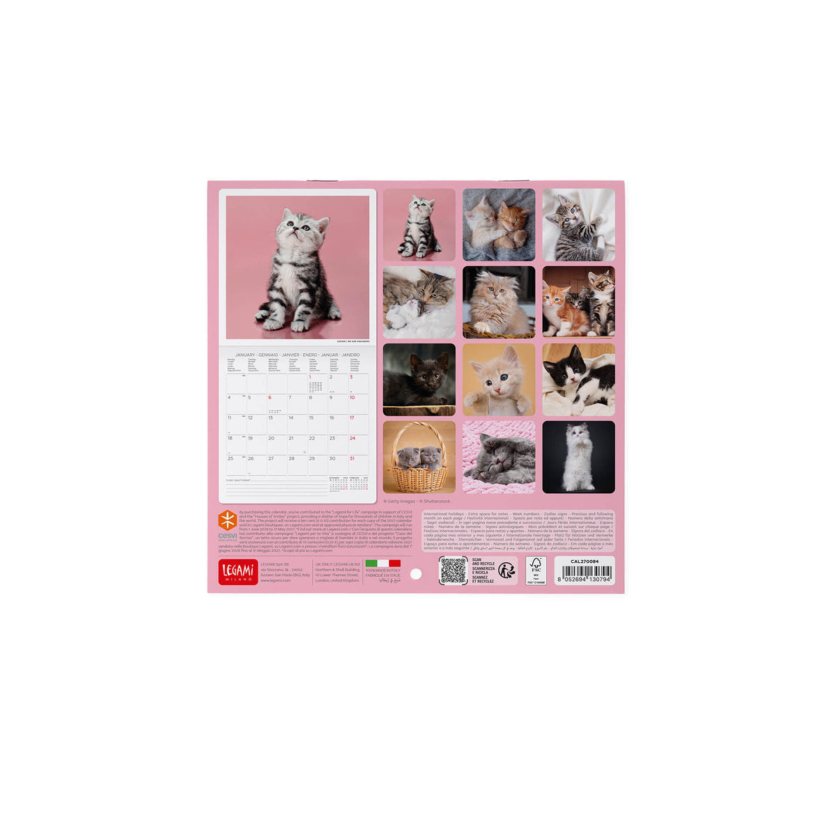 Calendario da Parete 2027 - 18 x 18 cm - Kittens