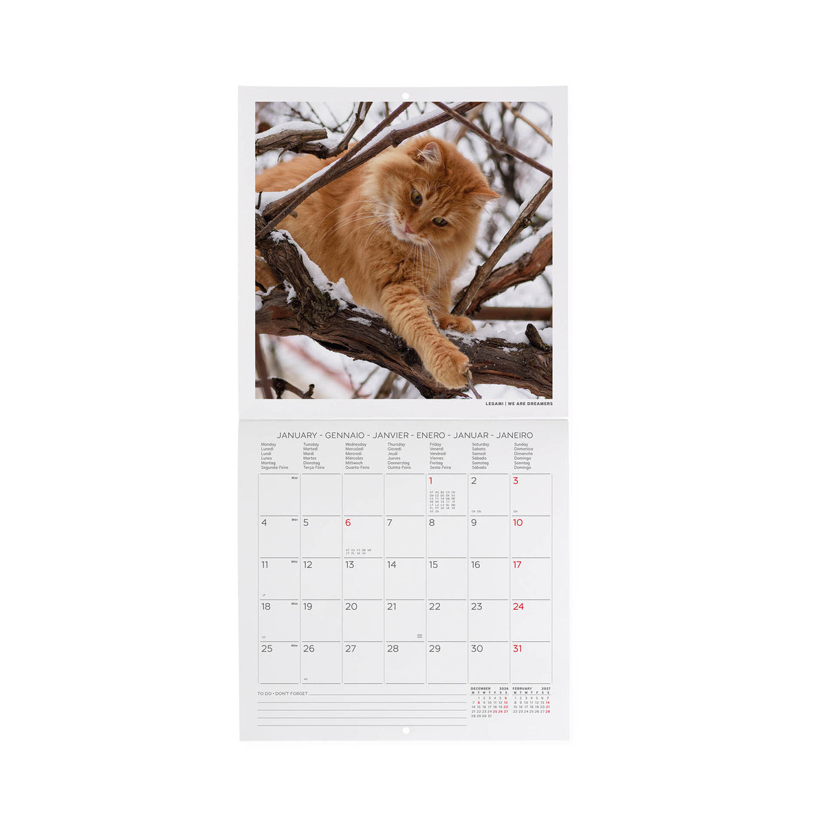 Calendario da Parete 2027 - 18 x 18 cm - Cats