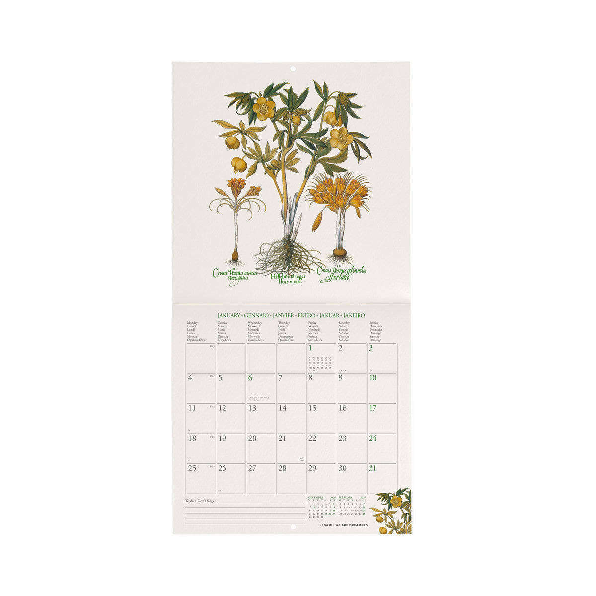 Calendario da Parete 2027 - 18 x 18 cm - Herbarium