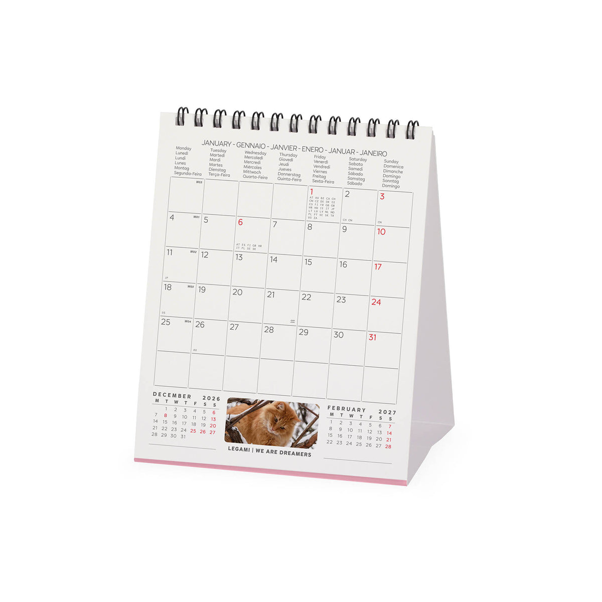 Calendario da Tavolo 2027 - 12 x 14,5 cm - Cats