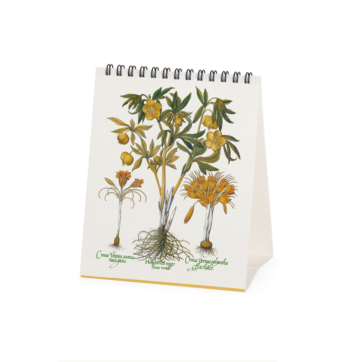 Calendario da Tavolo 2027 - 12 x 14,5 cm - Herbarium