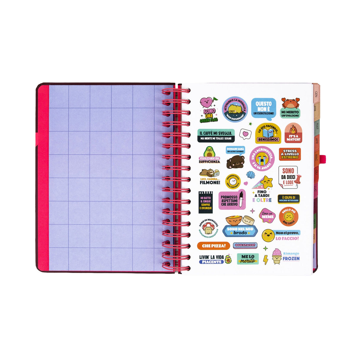 Agenda Giornaliera 2027 Mr. Wonderful – Full aesthetic