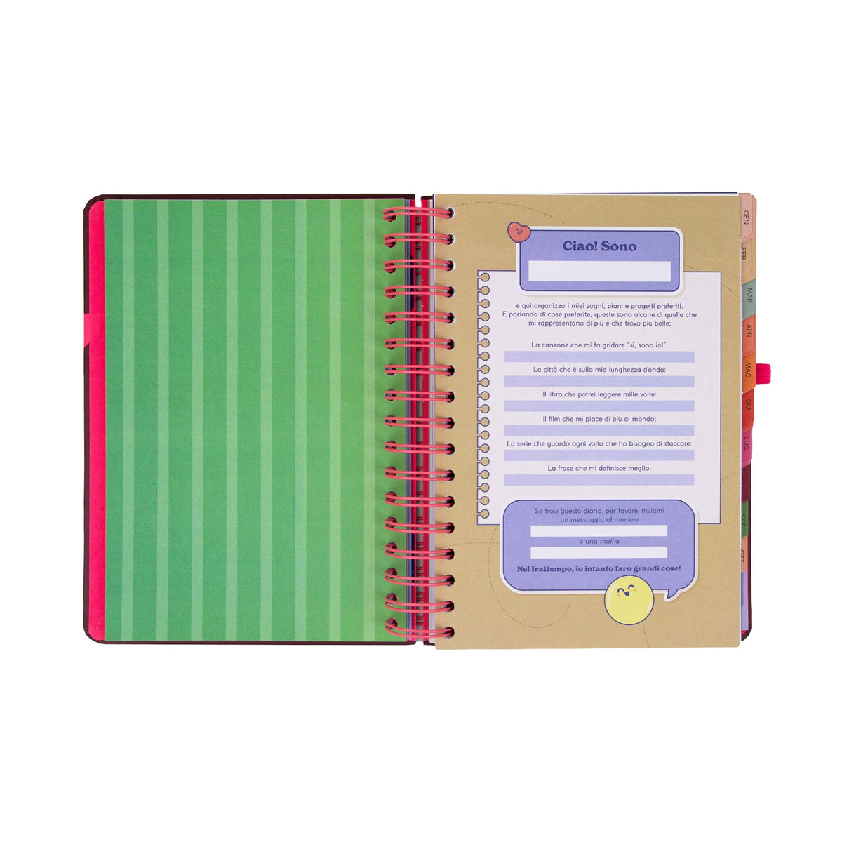 Agenda Settimanale piccola 2027 Mr. Wonderful – Full aesthetic